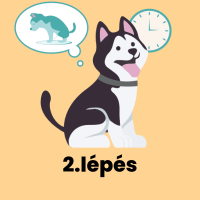 Figyeld meg, mikor fog pisilni. Általában ébredés után, evés után, játék után fog magán könnyíteni