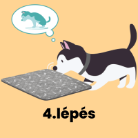 Ismételd a 3. lépést addig, míg kutyusod nem kezdi el magától használni